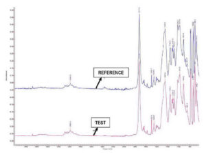 cipp test lab